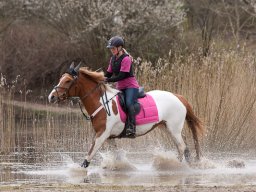 2016 TREC Træning 16 april